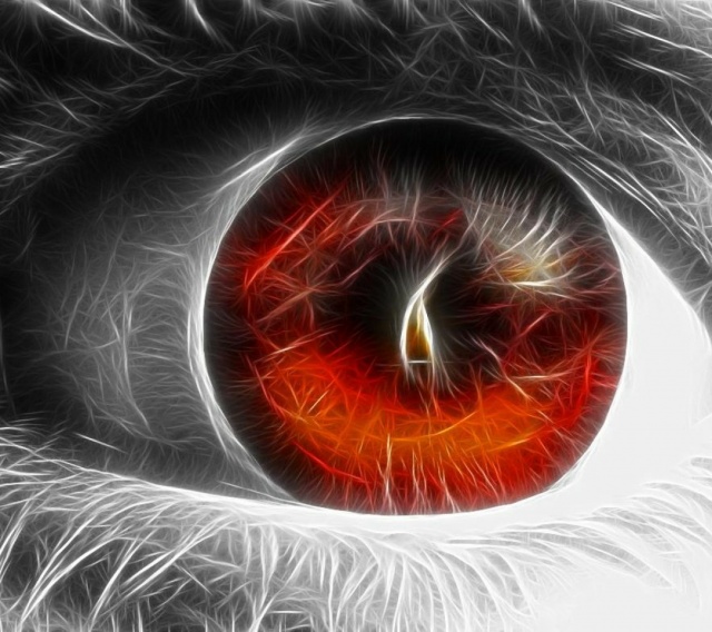 Cult of Android - A Wallpaper A Day Keeps Your Android Homescreen At Play:  Fire In Your Eye | Cult of Android
