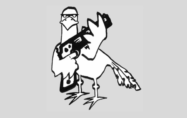 bird-with-gun