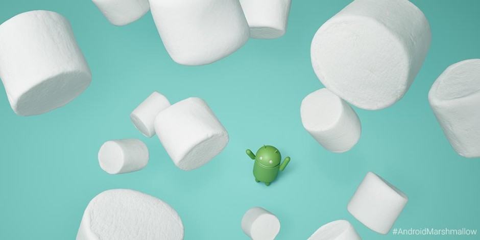 Marshmallow updates are here for manual flashing. Photo: Google